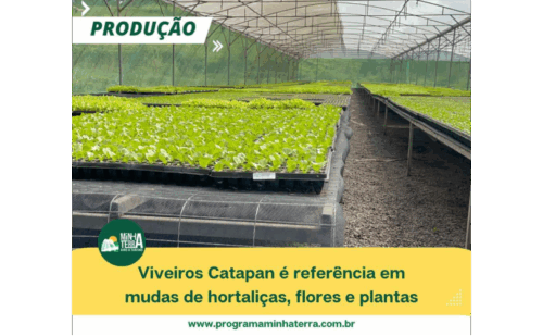 Viveiros Catapan 1
