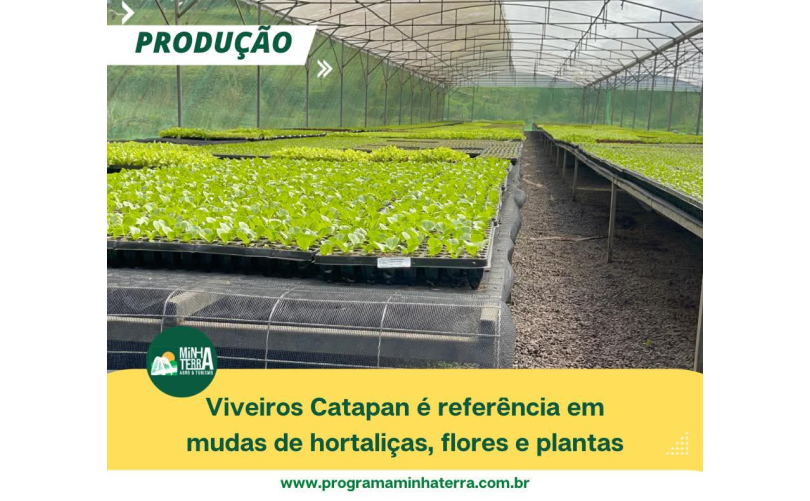 Viveiros Catapan 1