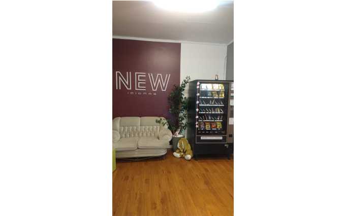 New England Idiomas2