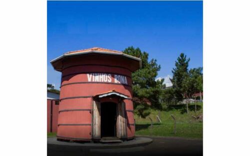Vinhos Bona4
