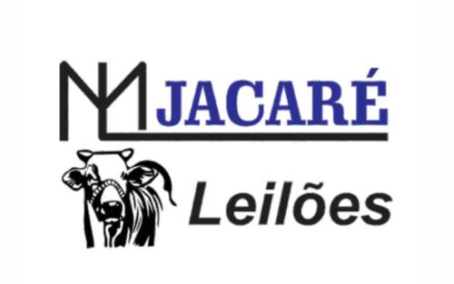 ML jacaré leilões