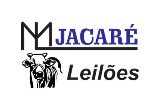 ML jacaré leilões