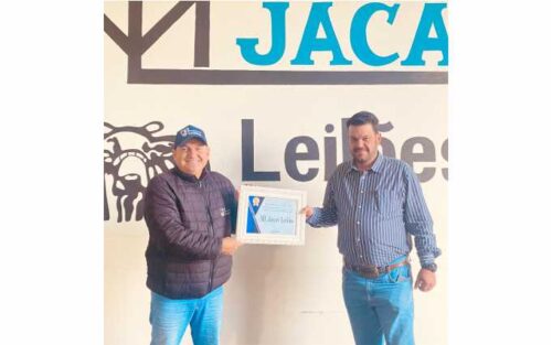 ML jacaré leilões1