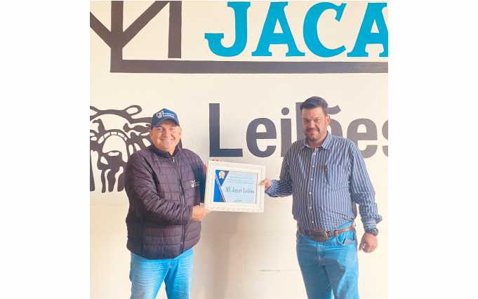 ML jacaré leilões1
