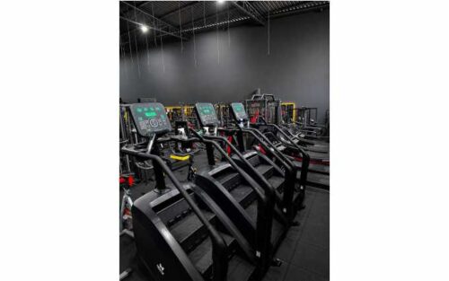 MONSTER GYM ACADEMIA1