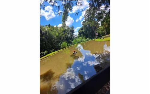 Pesqueiro Três Lagoas 1