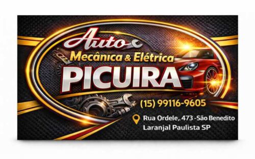 Auto Mecânica e Elétrica Picuira