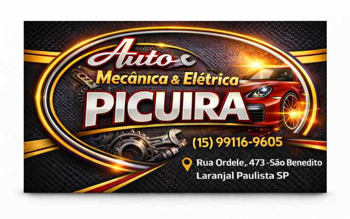 Auto Mecânica e Elétrica Picuira