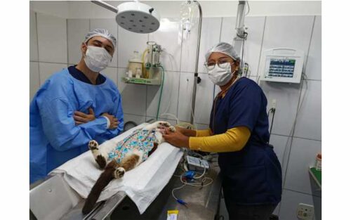 Clínica Pet & Vet1