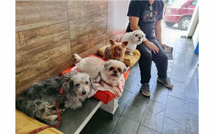 Clínica Pet & Vet2