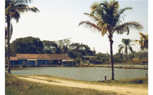 Pesqueiro & restaurante De onde cê vem 1