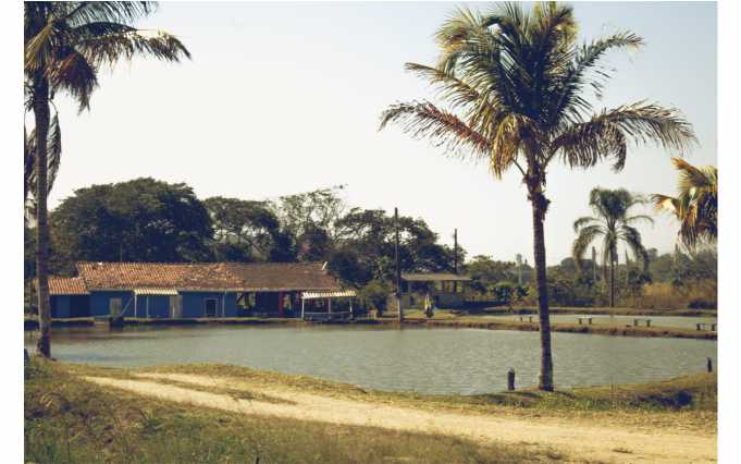 Pesqueiro & restaurante De onde cê vem 1